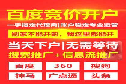 某行业巨头背后的SEM代运营托管公司
